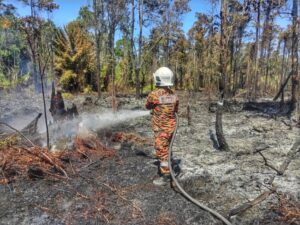 Aktiviti manusia disyaki punca kebakaran hutan, belukar