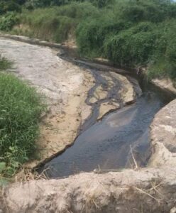 Sungai Johor tercemar lagi, air bertukar warna hitam