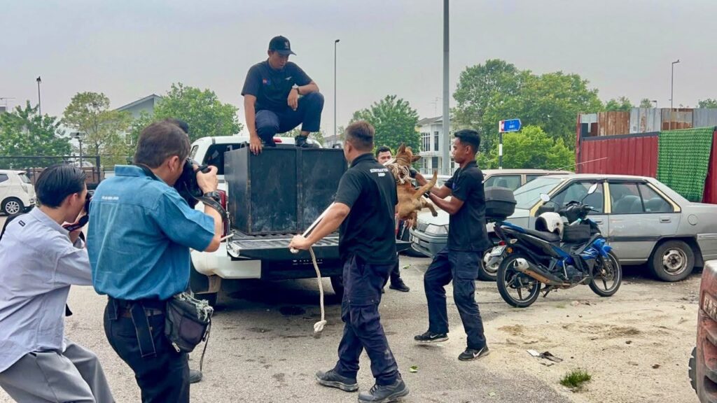 Pemilik halang operasi tangkap anjing, cetus ketegangan