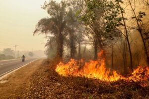 Jerebu: Akhirnya Indonesia pertimbang tawaran bantuan asing